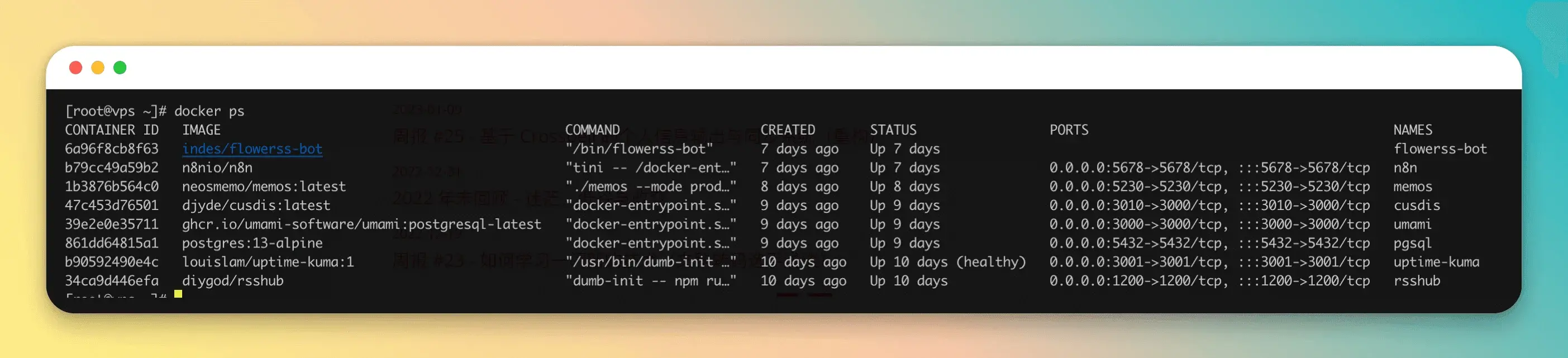 vps-docker-service